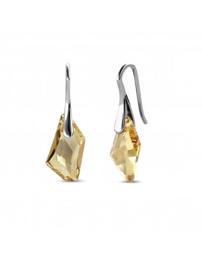 Boucles d'oreilles Silver...